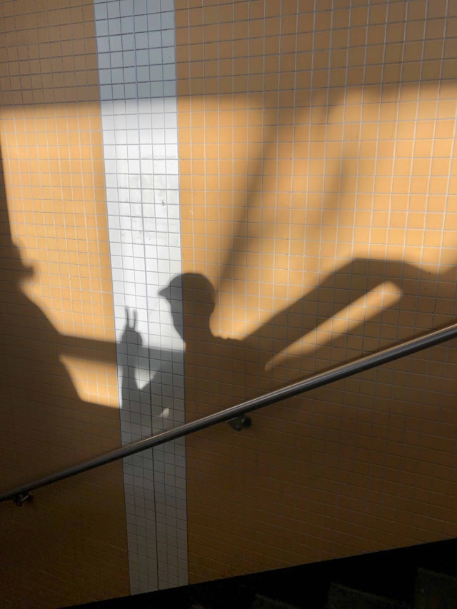 Vincent Nalupta's shadow against some subway tiles.
